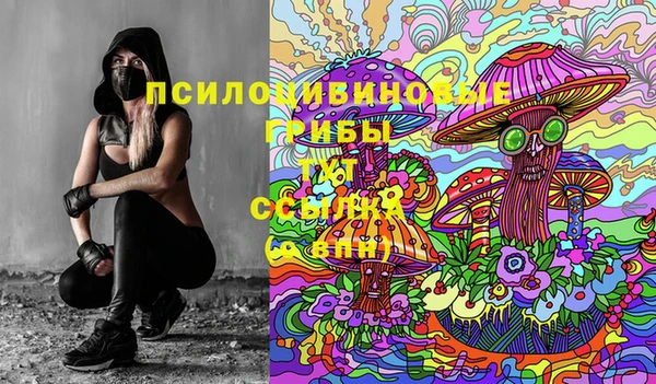 первитин Нягань