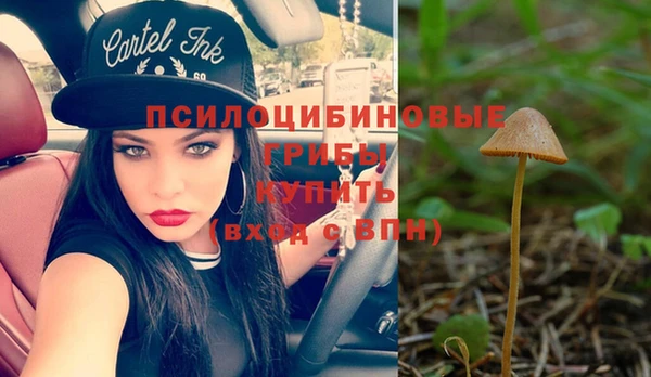 альфа пвп Няндома
