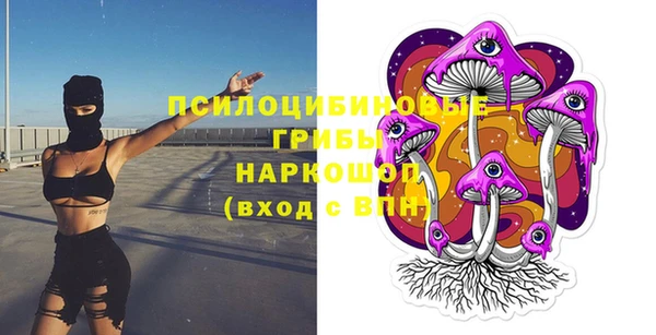 альфа пвп Няндома