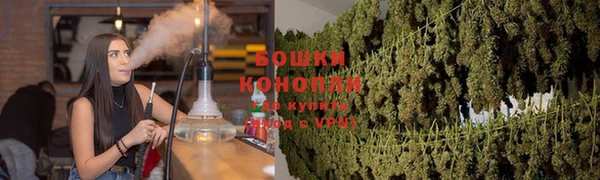 первитин Болотное