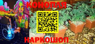 тгк Заволжье