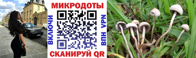 Псилоцибиновые грибы мицелий Ртищево