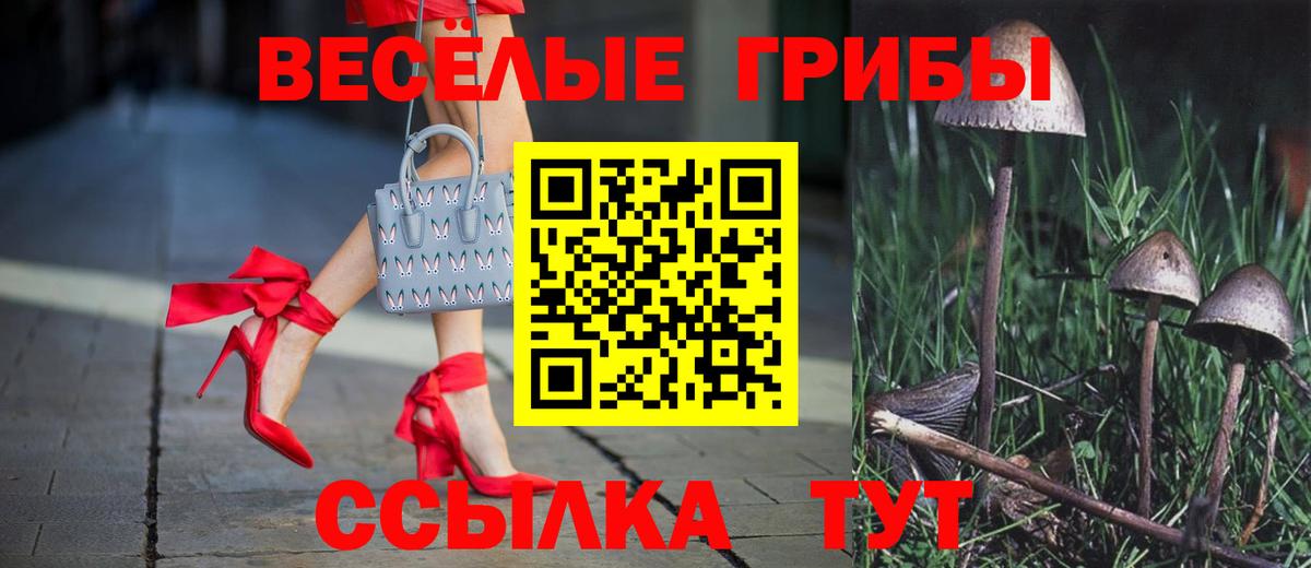 Галлюциногенные грибы мицелий  Вход с VPN  Ртищево 